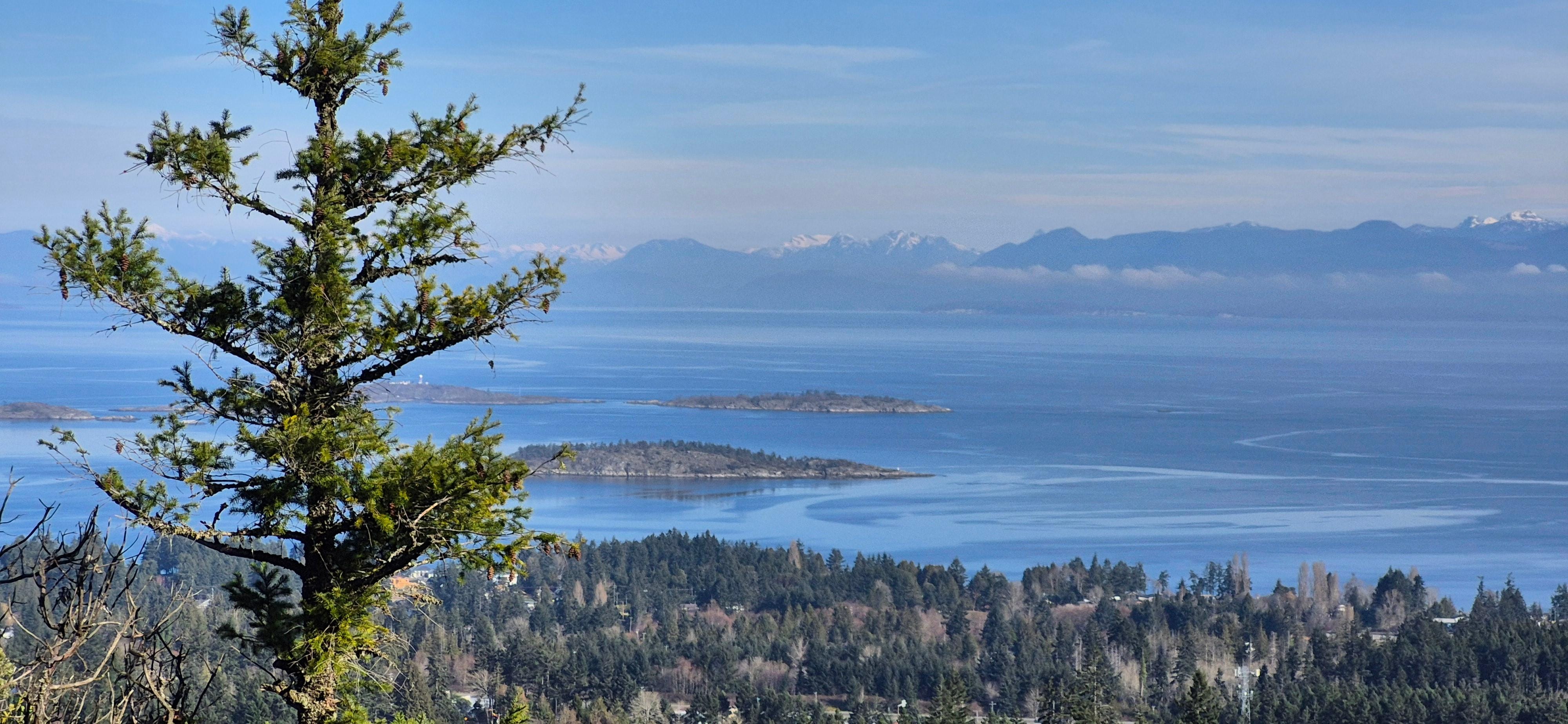 A beautiful view from the property. 