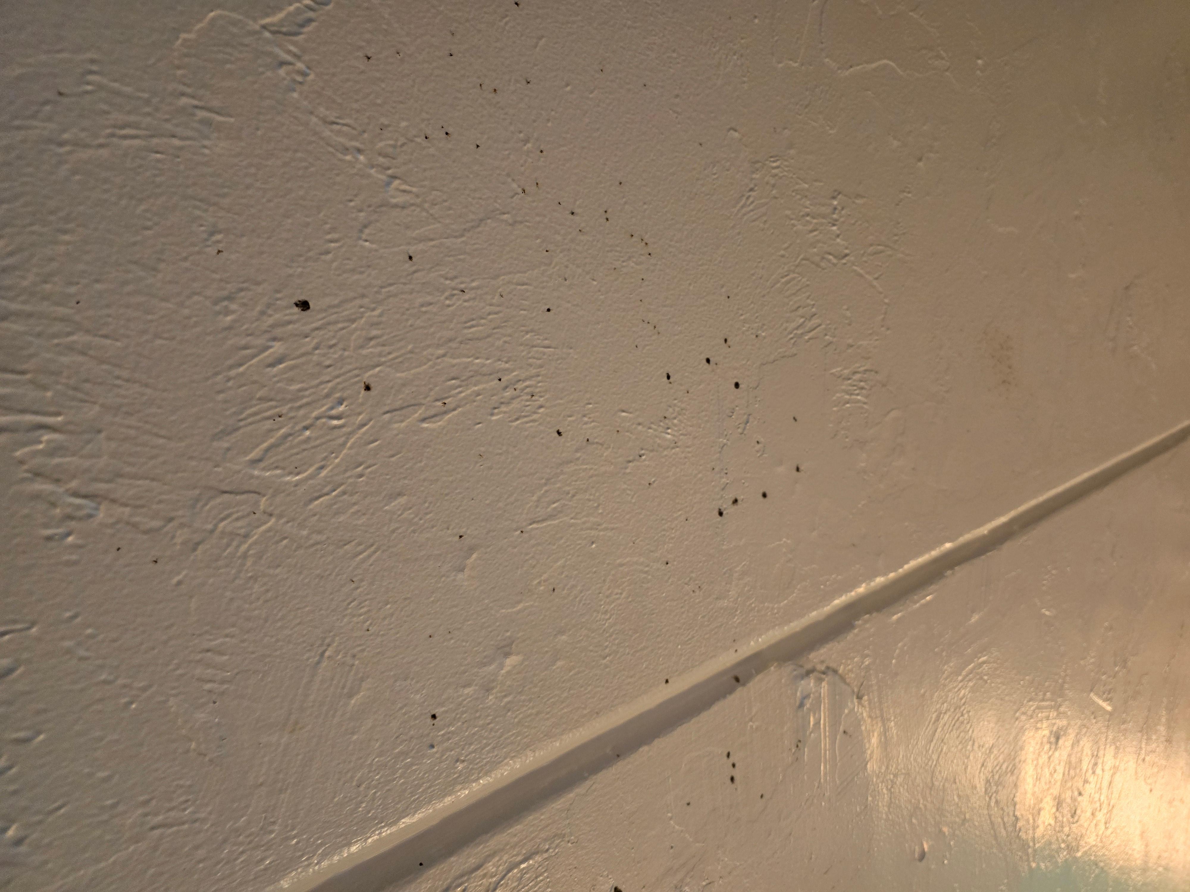 Something on the ceiling 