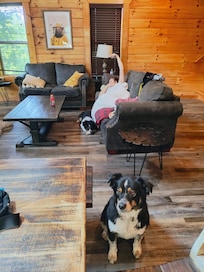 Living room â€ïž