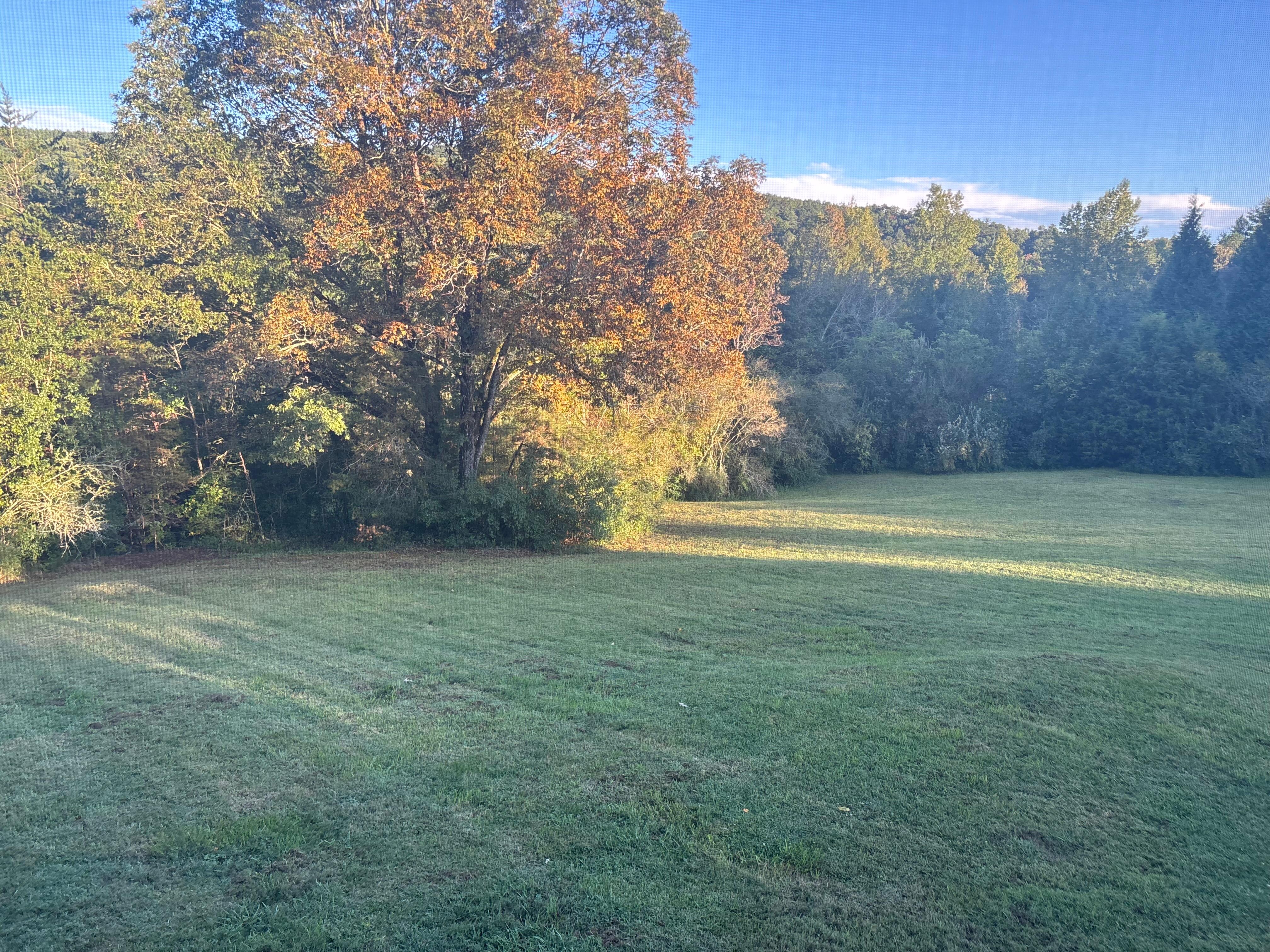 Lovely views from the sunroom and porch. 