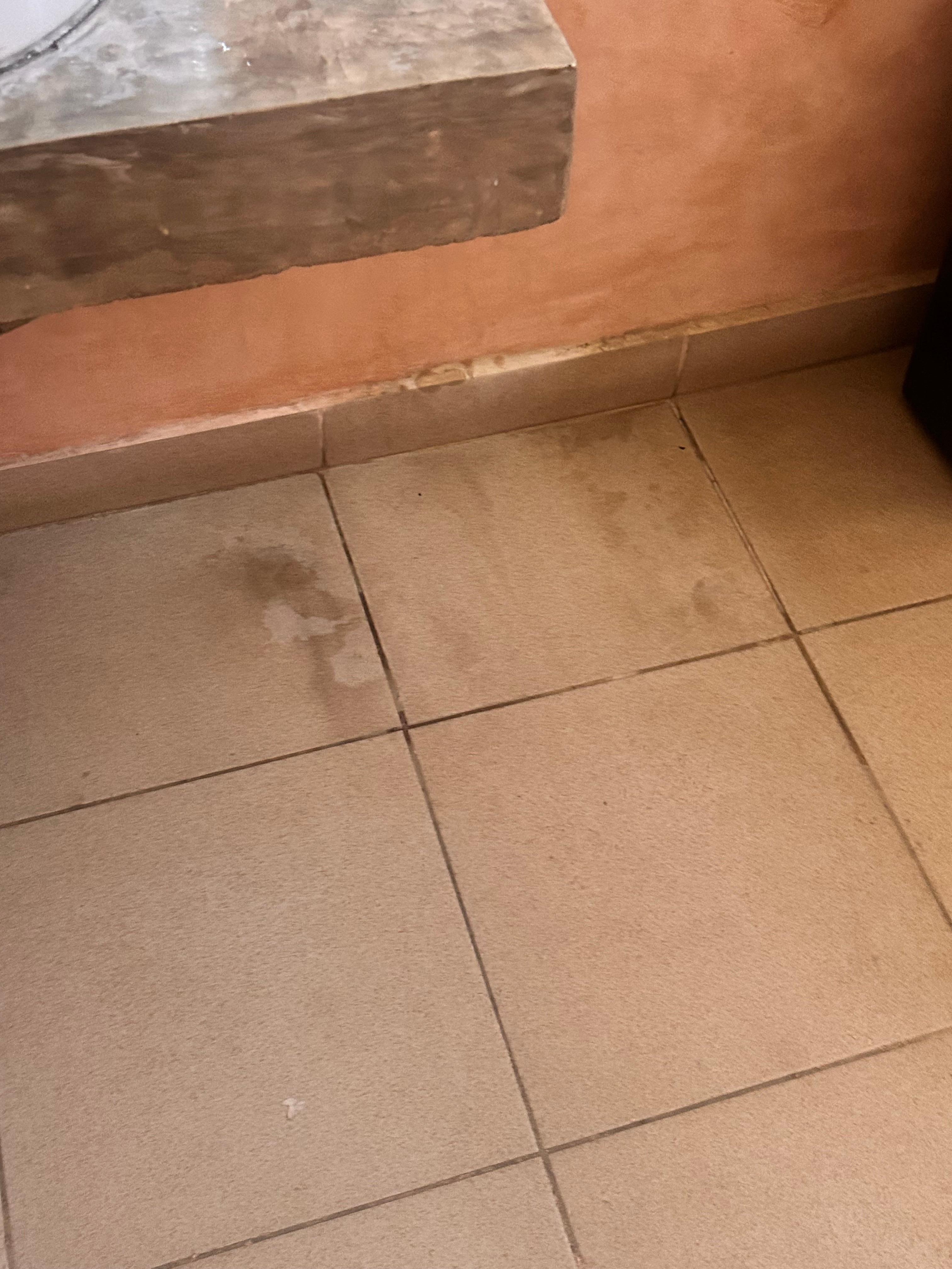 Es de destacar que en todos los días que estuve nunca limpiaron la habitación.