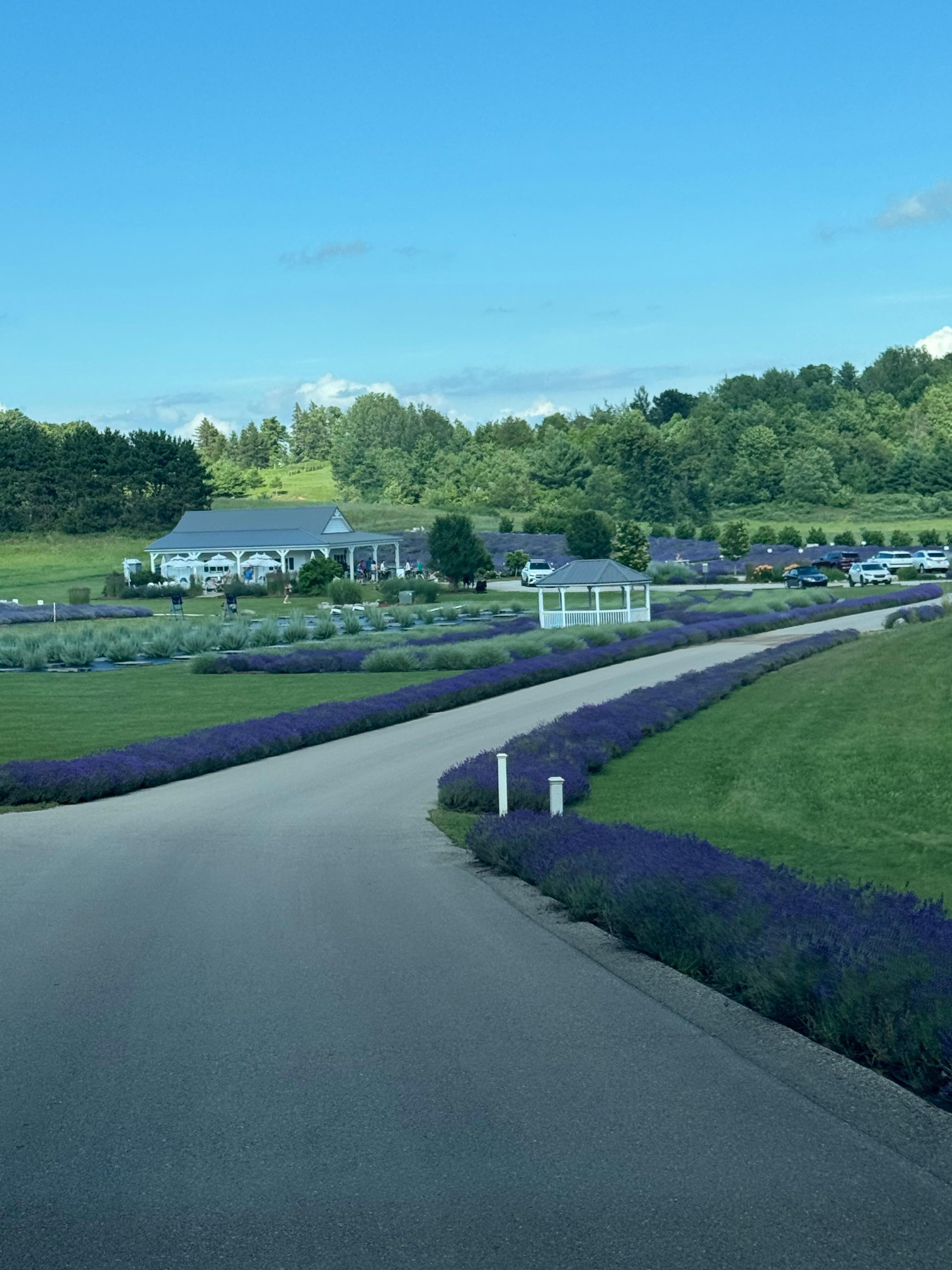 Brys Estate and winery