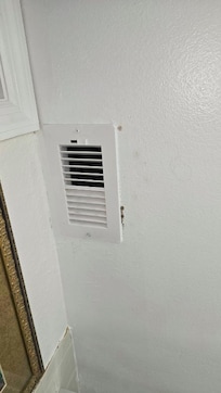 Mold in the bathroom
