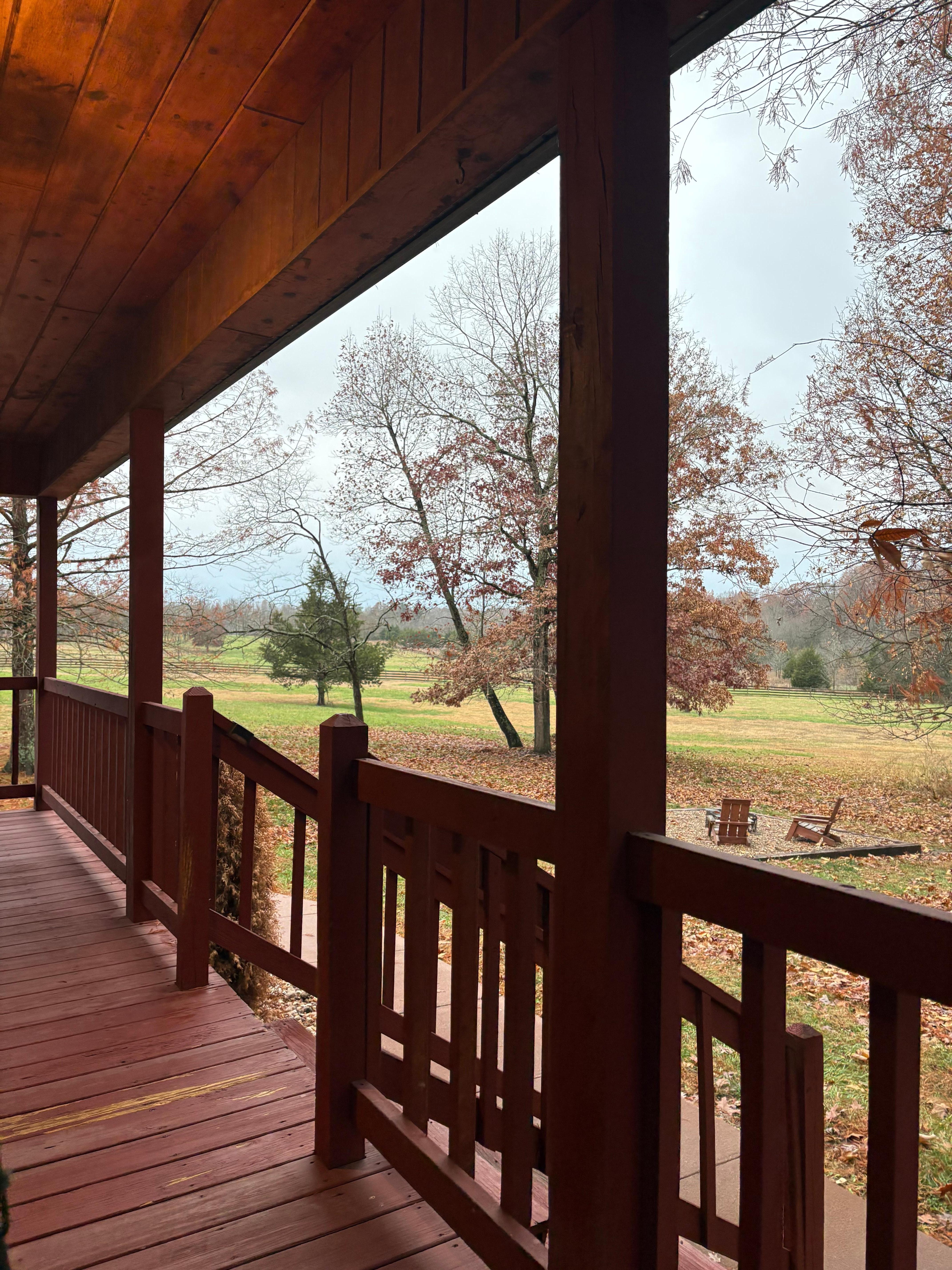 View from the porch swing.