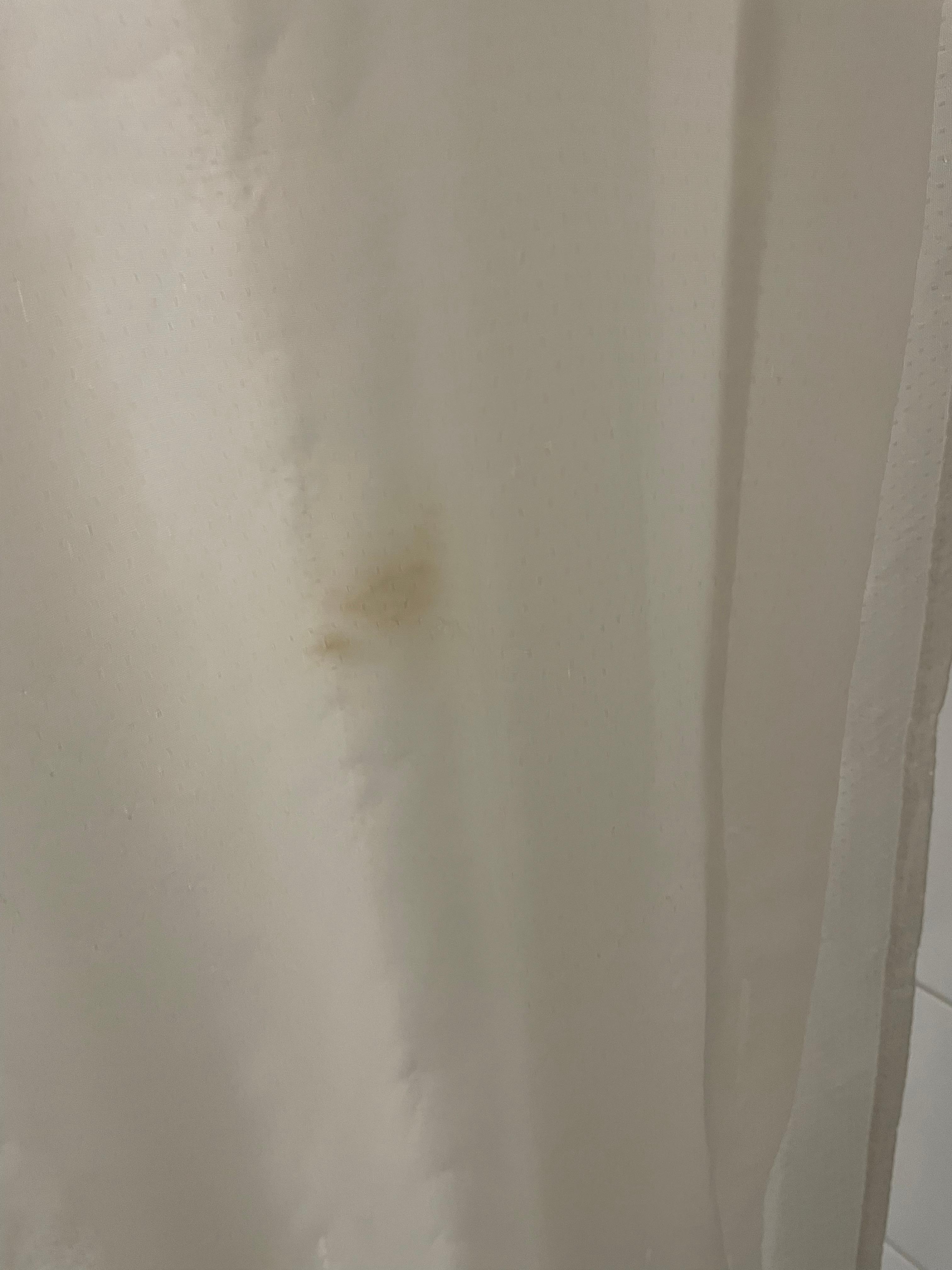 Brown spots on the shower curtain 