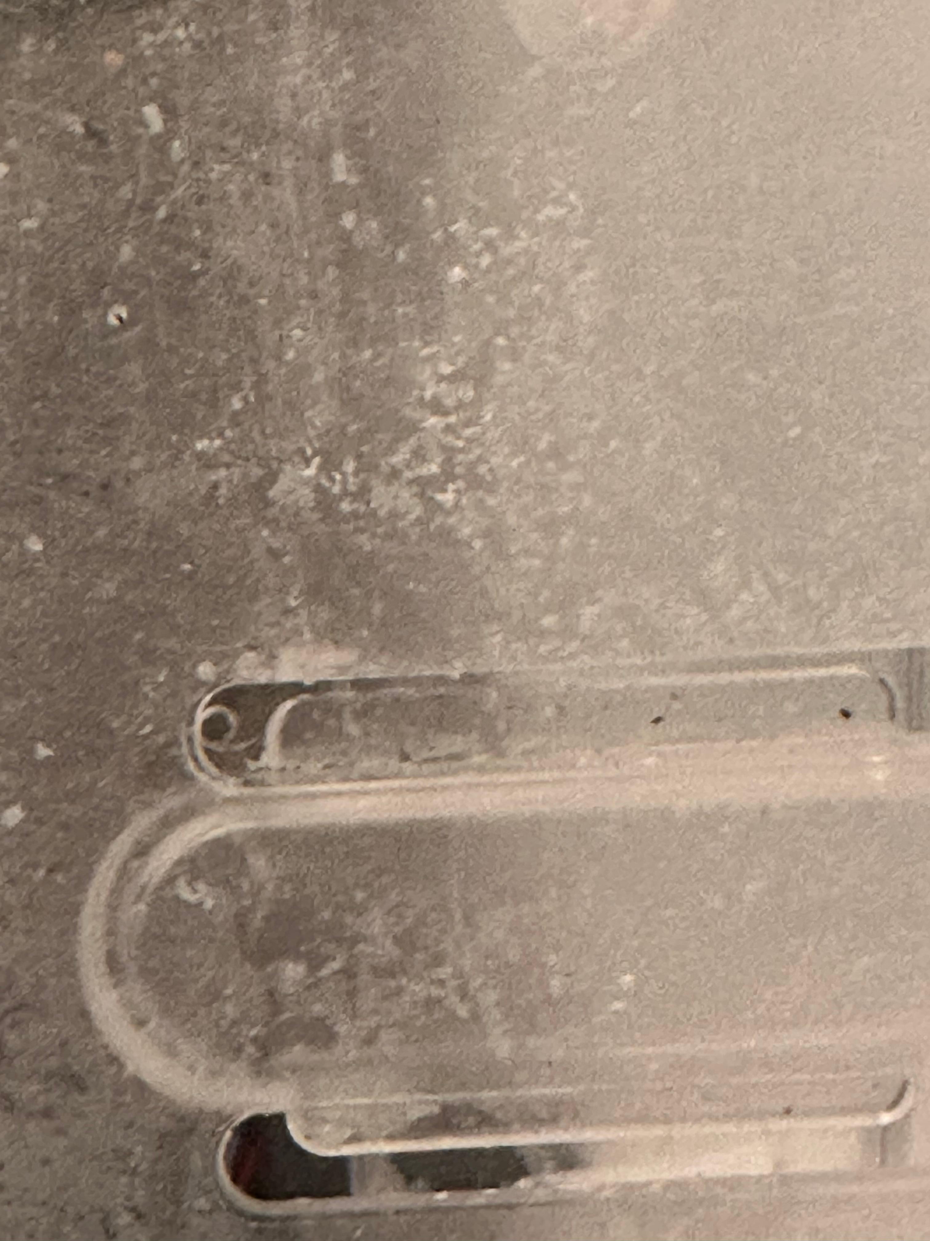 Dried milk in refrigerator. 