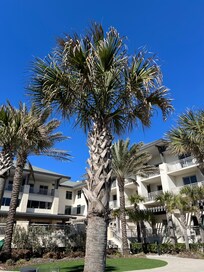View from chairs in the courtyard.