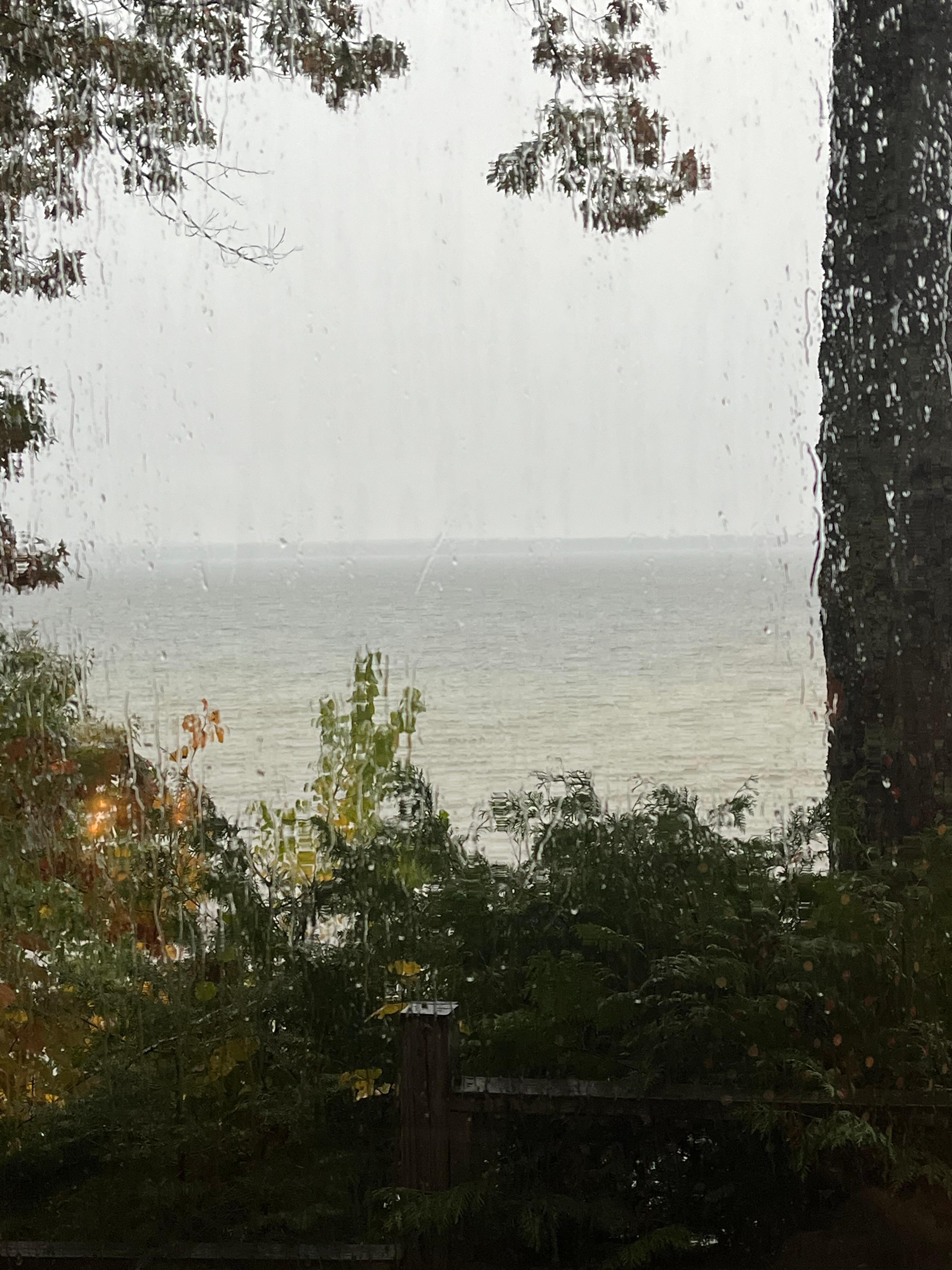 Another view from the back porch.