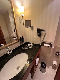 Decent sized bathroom and an excellent shower too.