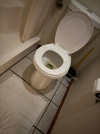 What you see in the toilet and on the toilet is urine from the upstairs bathroom. The smell was horrendous.