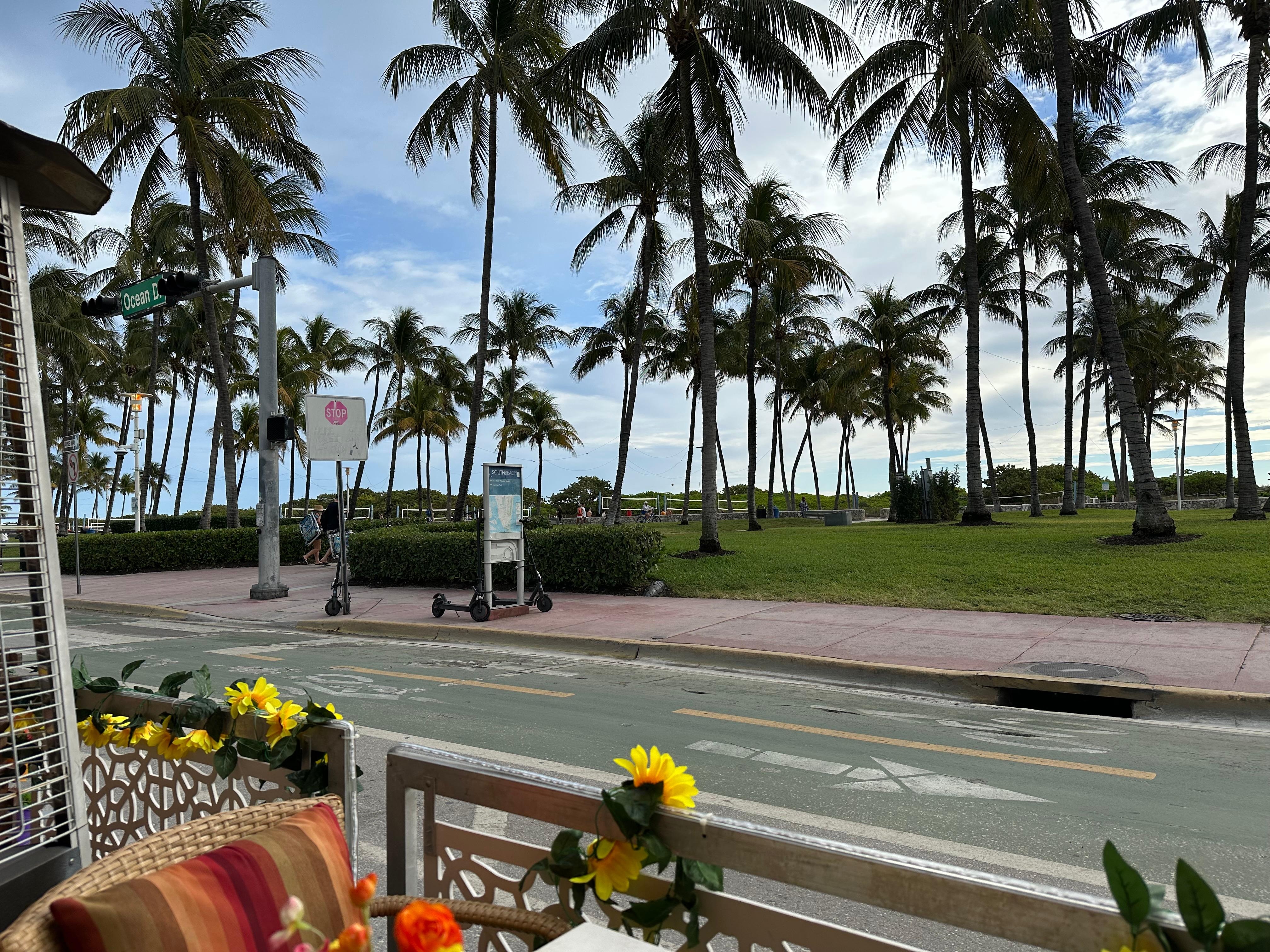 The park across the street 