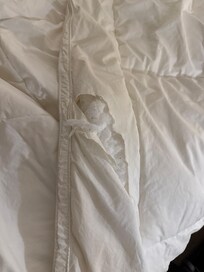 The duvet shows cotton.