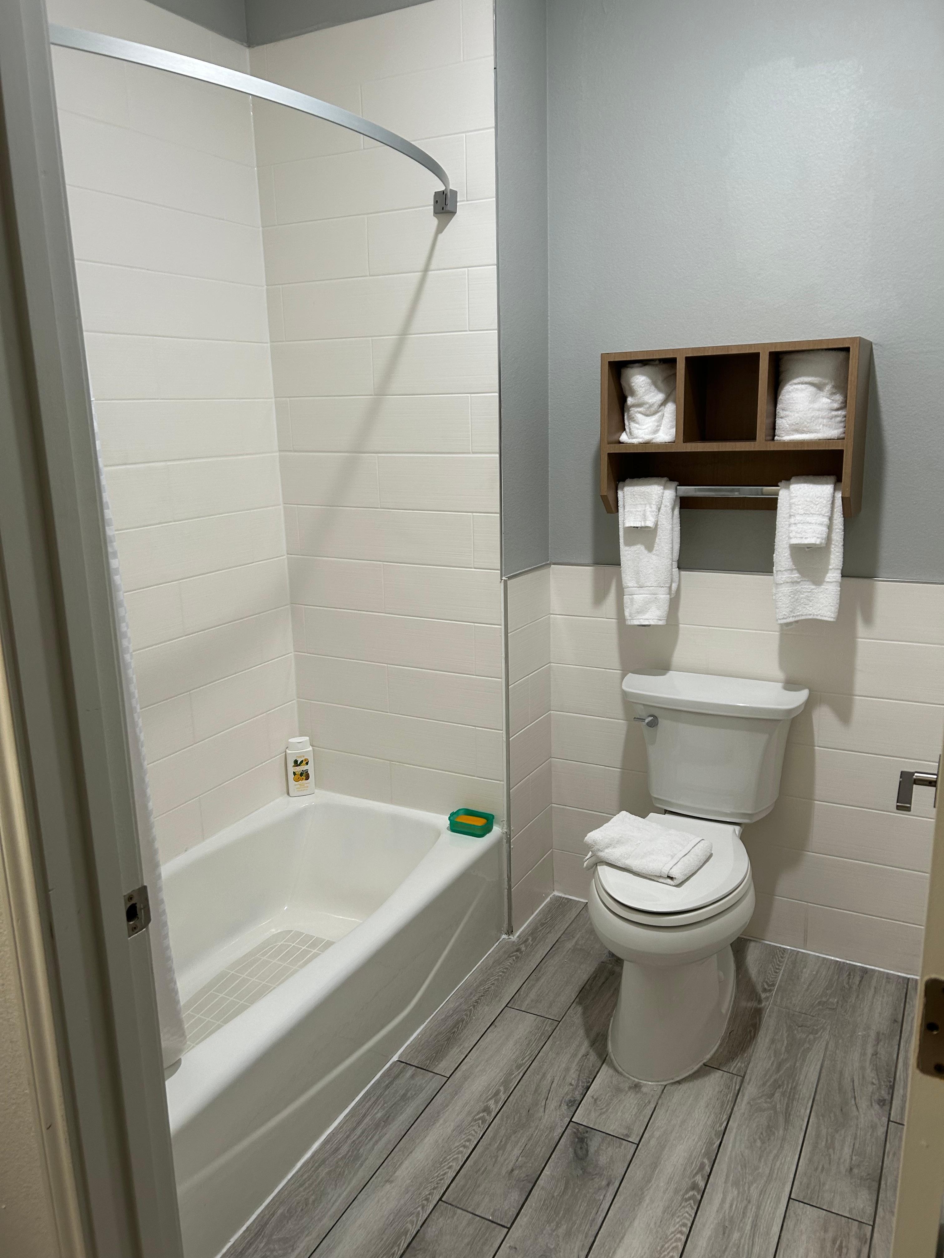 Bathtub/shower area with toilet