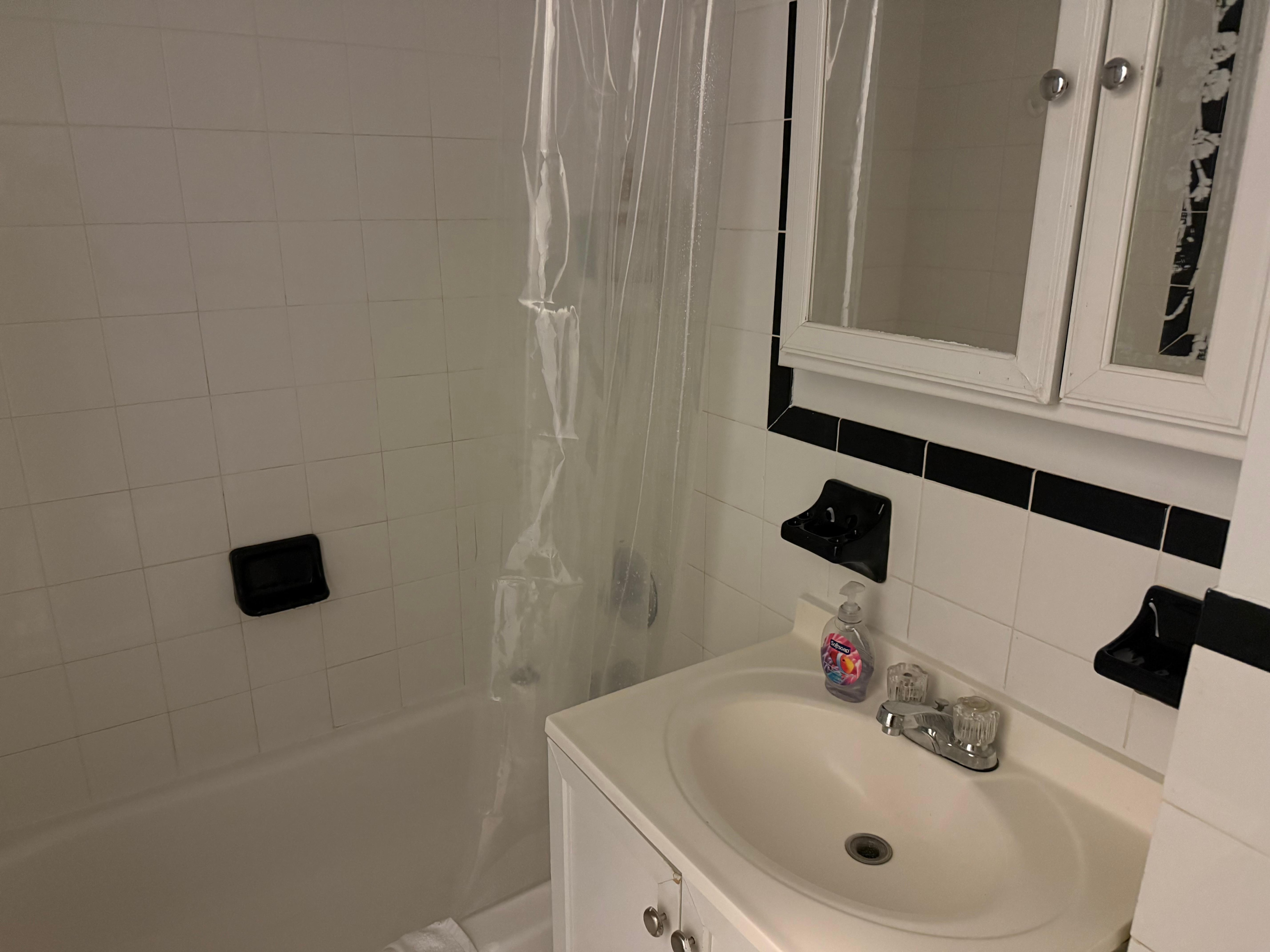 Bath with shower that doesn’t work.