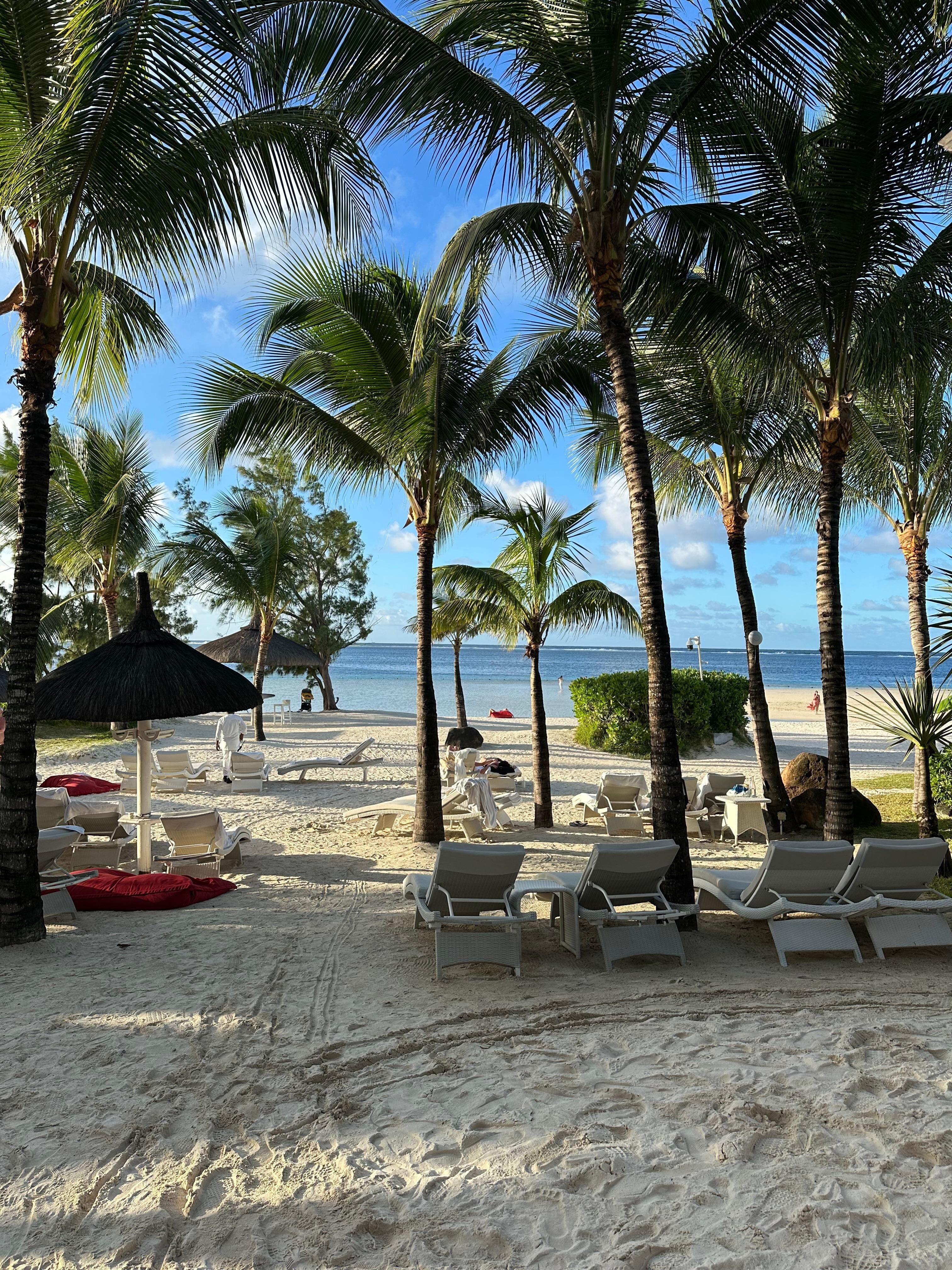La plage 