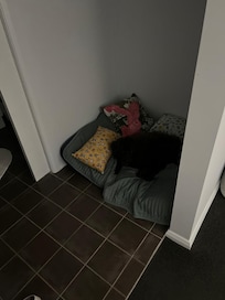 A very comfy doggy bed.