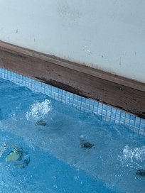 Cracks and mold at the “ presidential swim out”