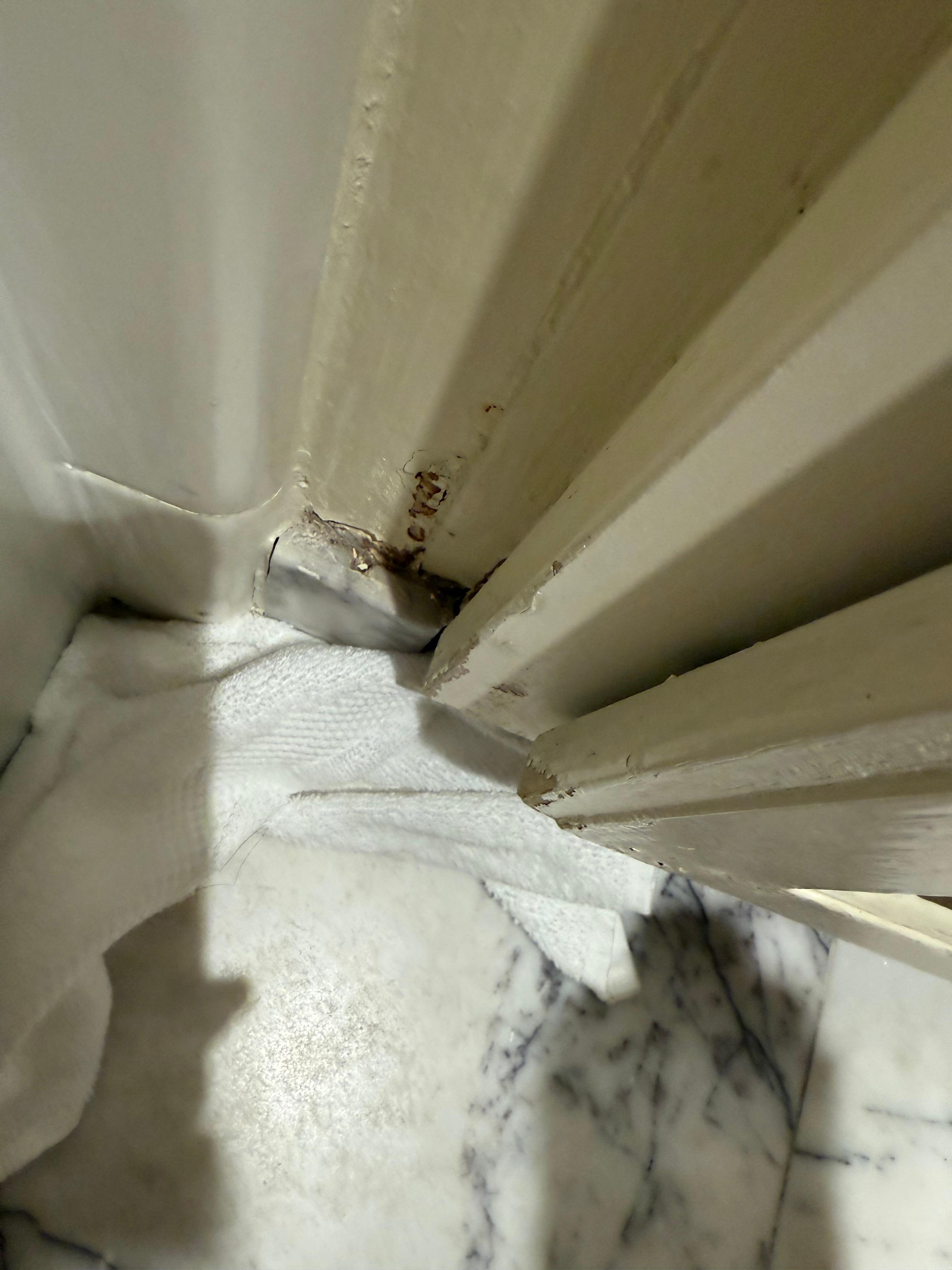 mold on baseboards