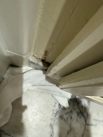 mold on baseboards