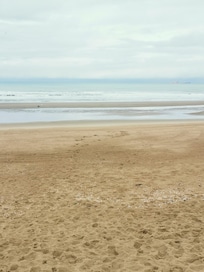 Un phogue sur la plage escardines