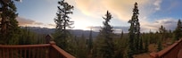 Another view off the patio