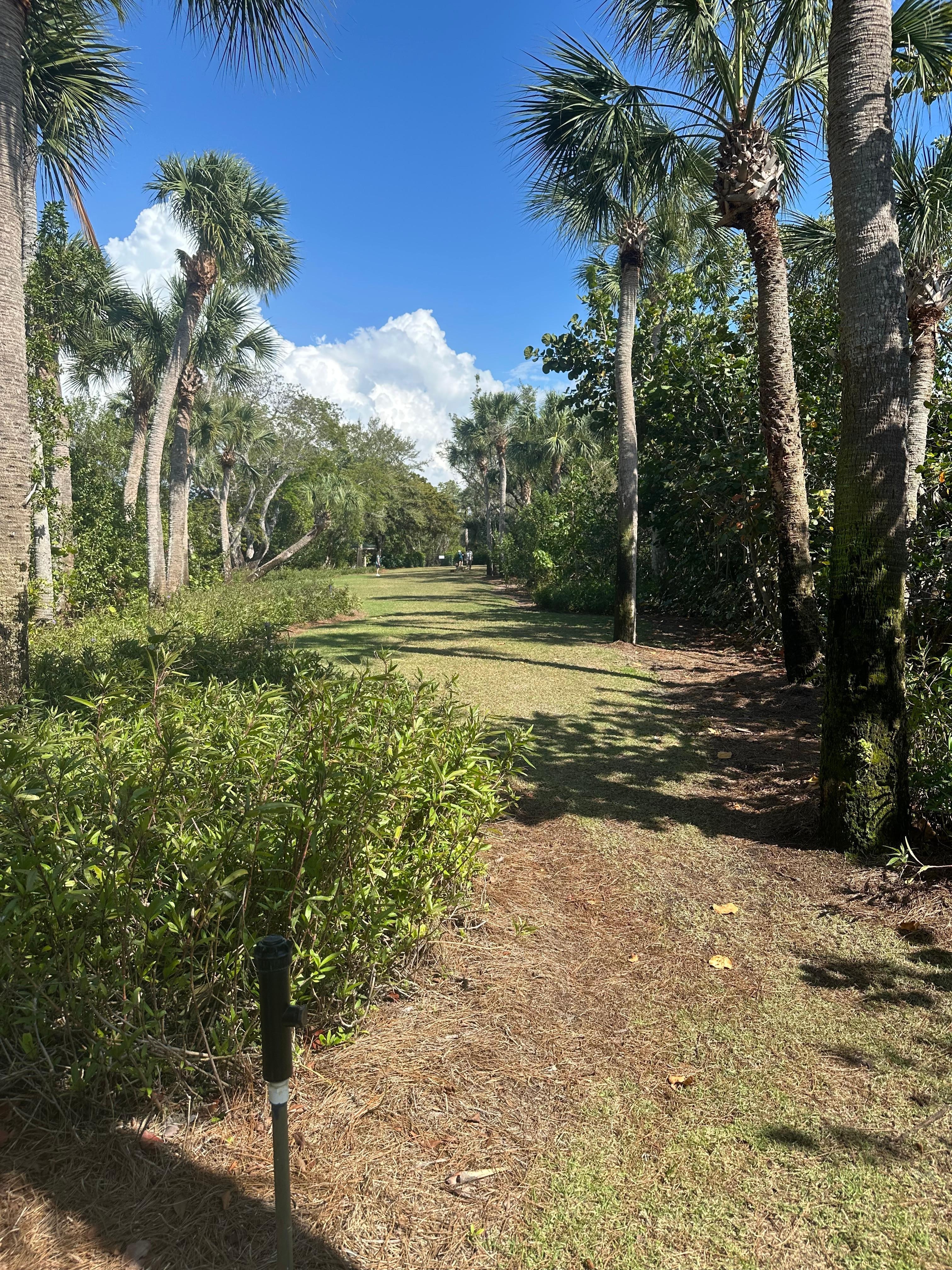 Dog park in Boniat Bay