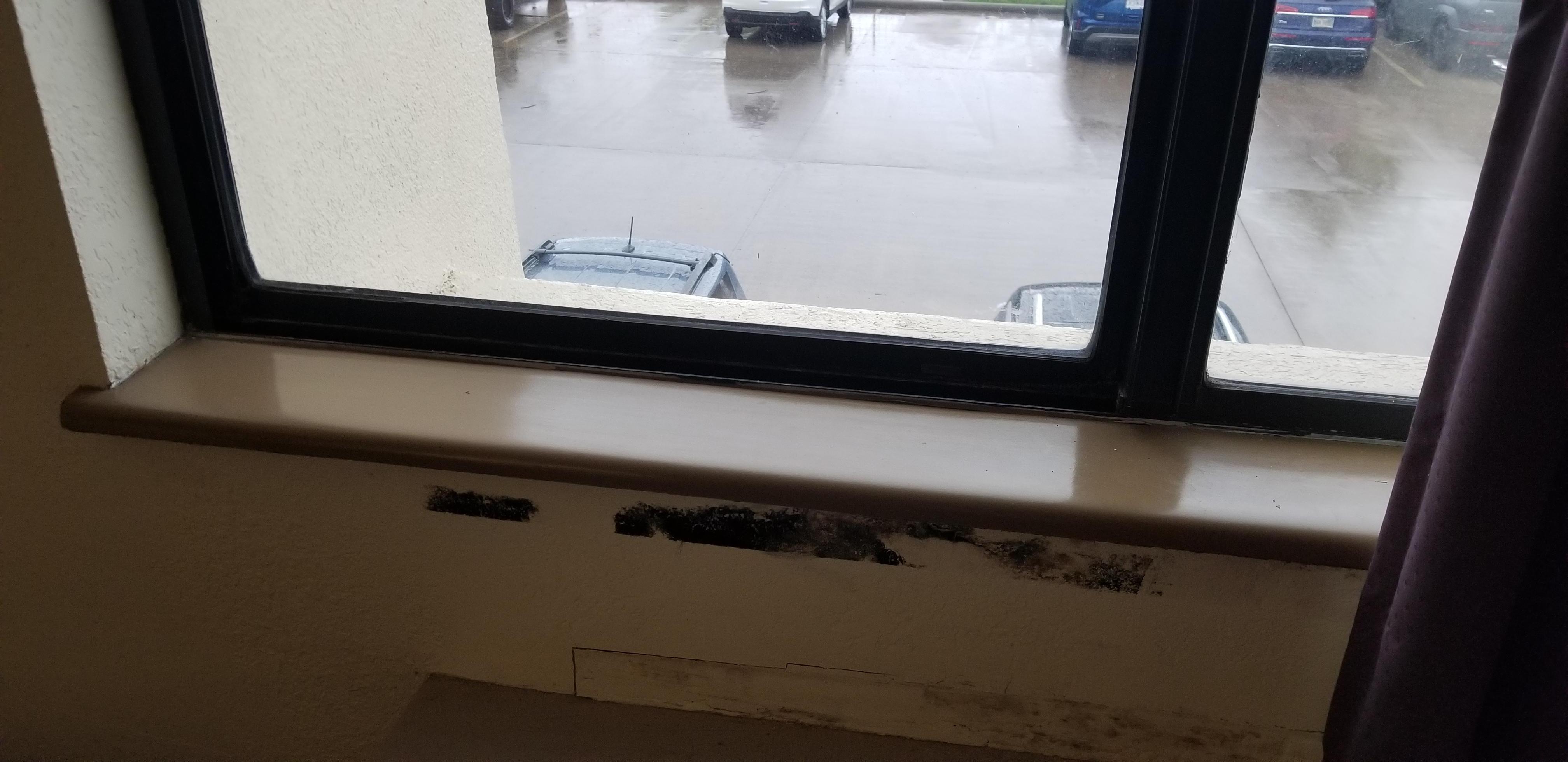 Mold under window in room