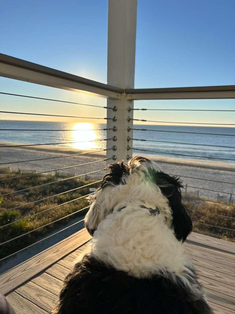 The view in the morning from the shared balcony in front of the unit