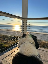 The view in the morning from the shared balcony in front of the unit