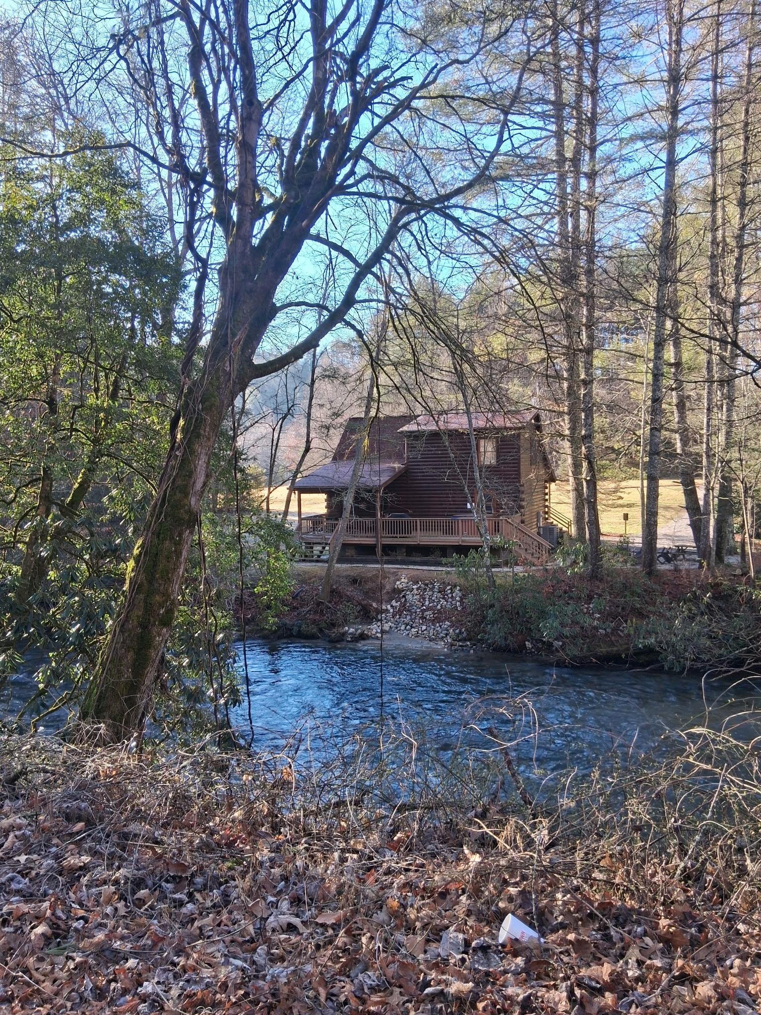 Back yard view from across the river