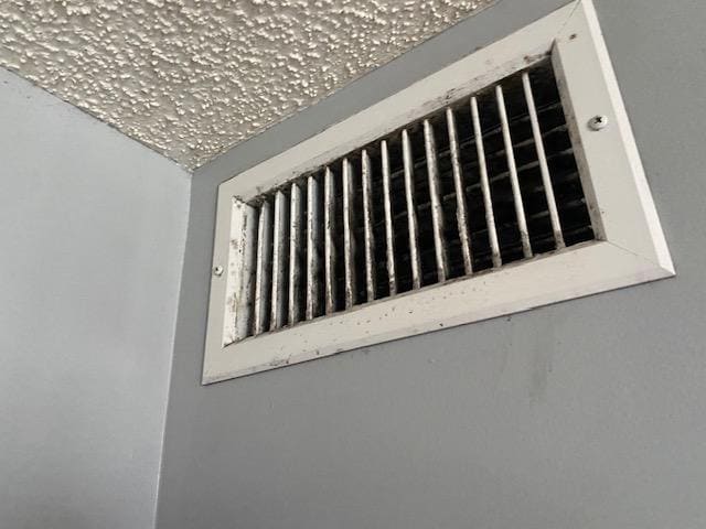 Mold in the vent