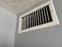 Mold in the vent