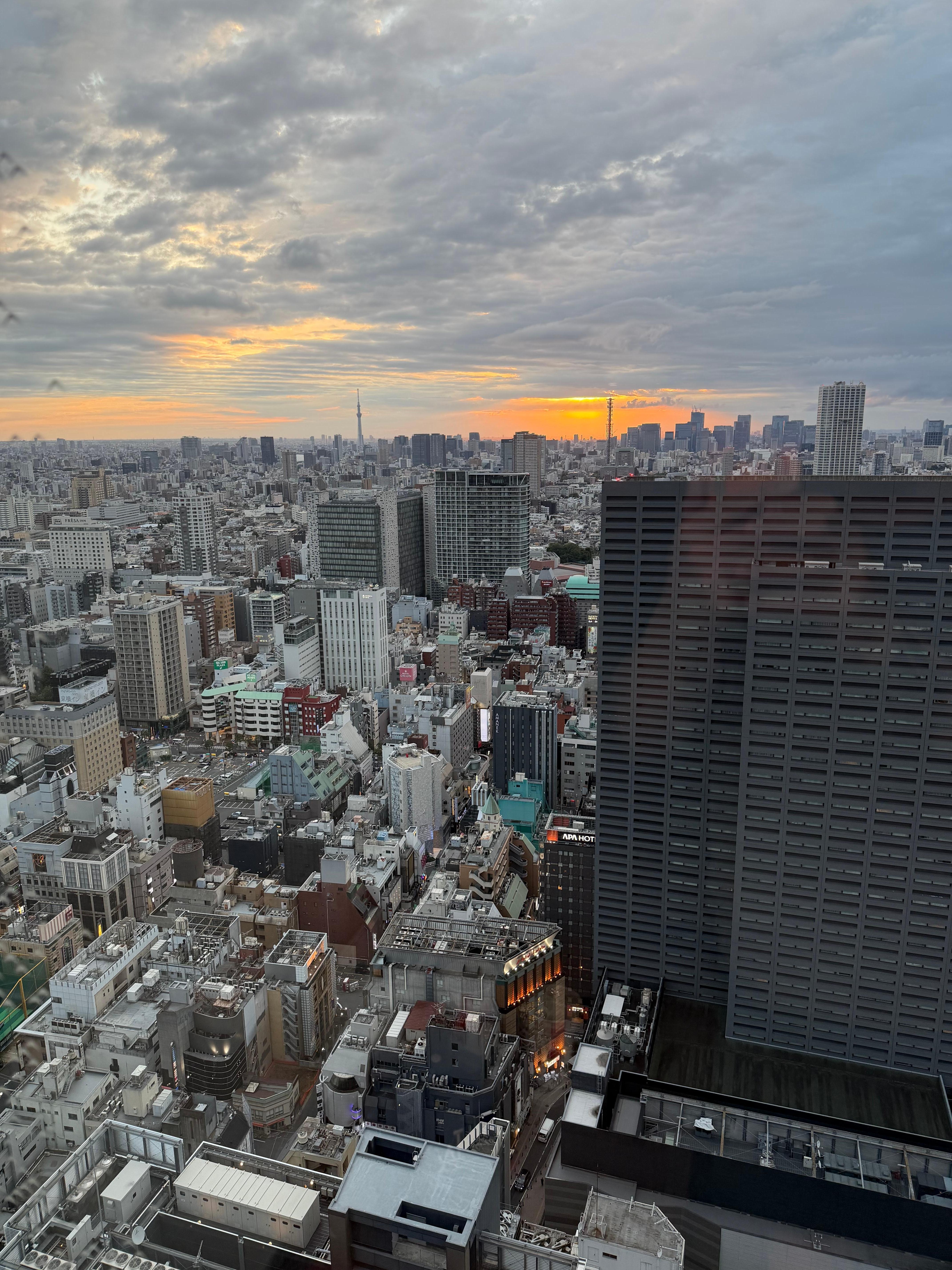 Morning view from our room. 