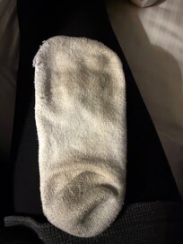 Walked across carpet twice.
