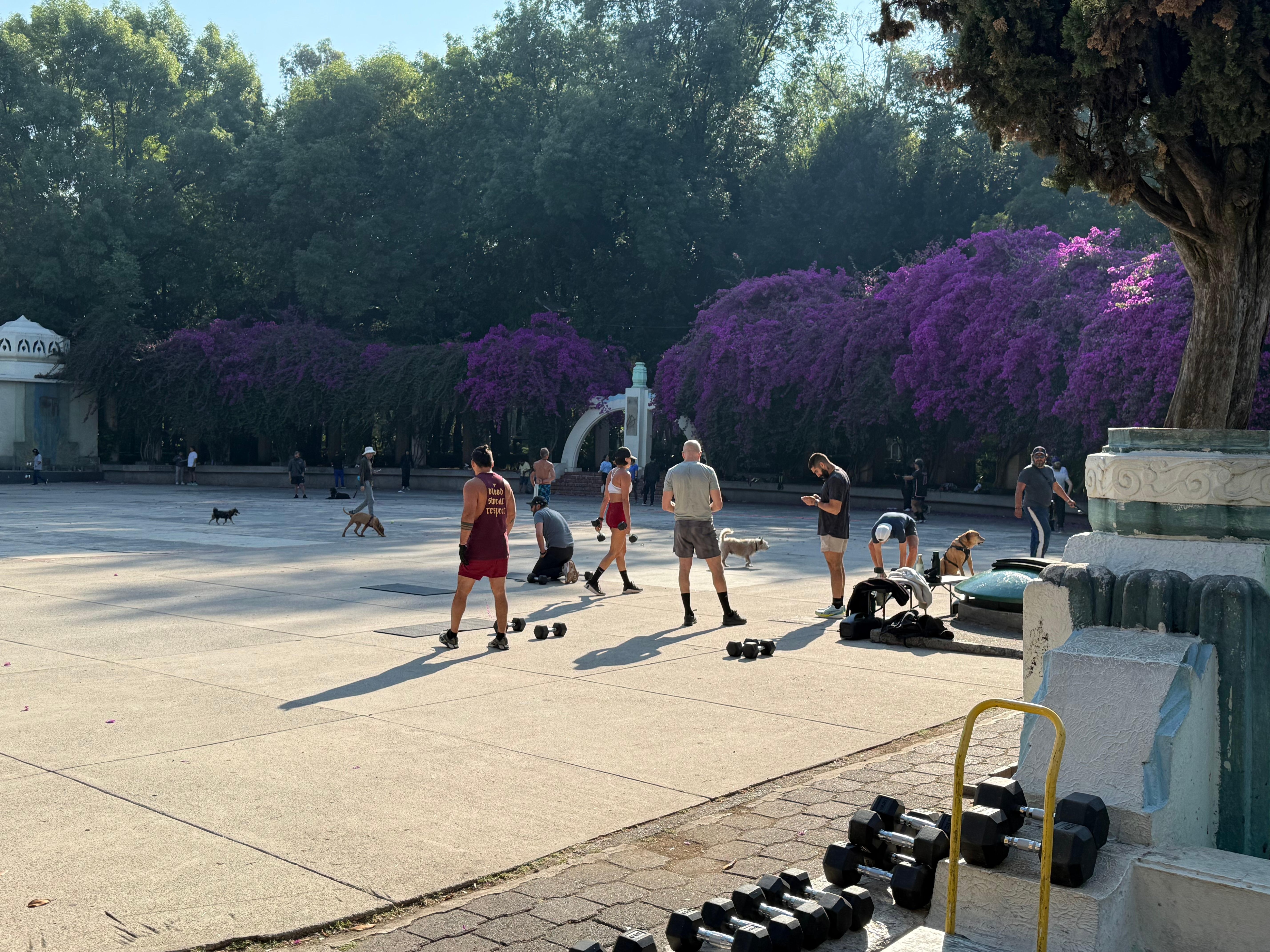 Very much an eternal garden similar to that described in the 1926 movie “Metropolis” 