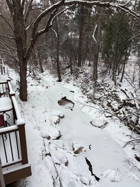 Beautiful snow storm filled the neighborhood and the creek!