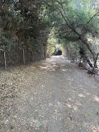 Trail to the river on the property