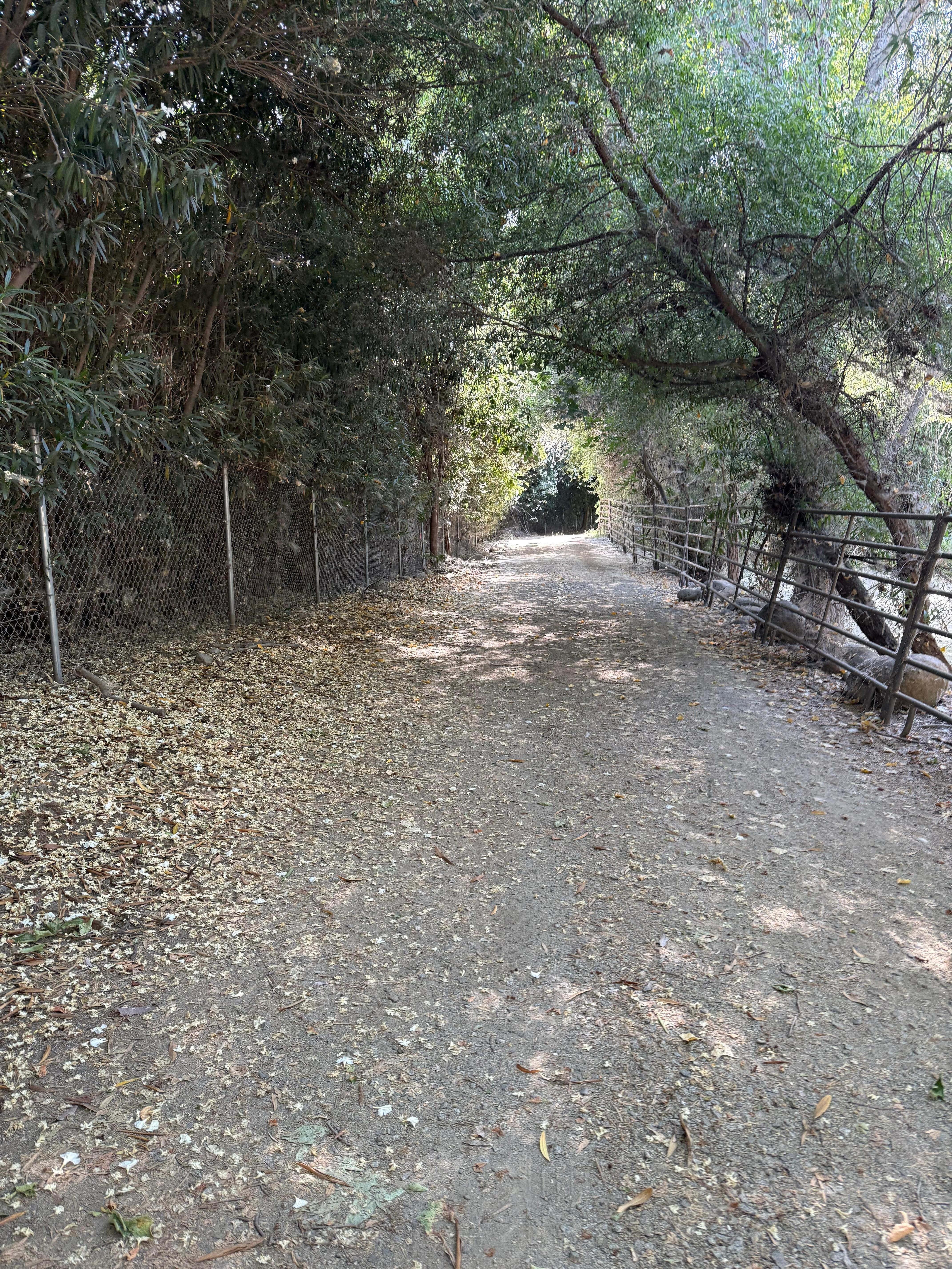 Trail to the river on the property