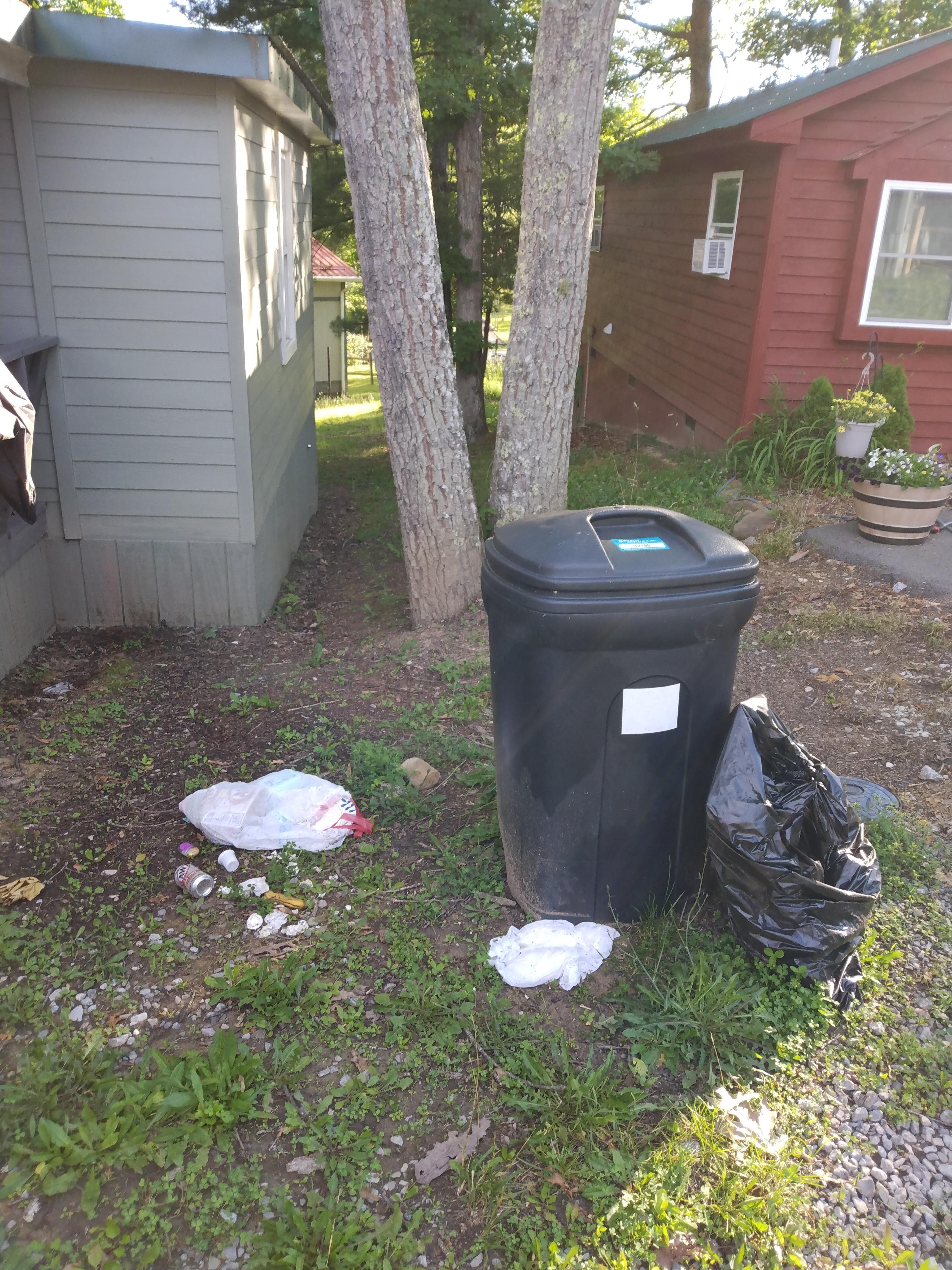 Trash at entrance upon arrival