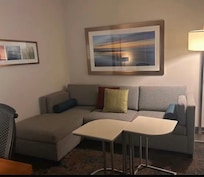 Living room seating area also had refrigerator and microwave