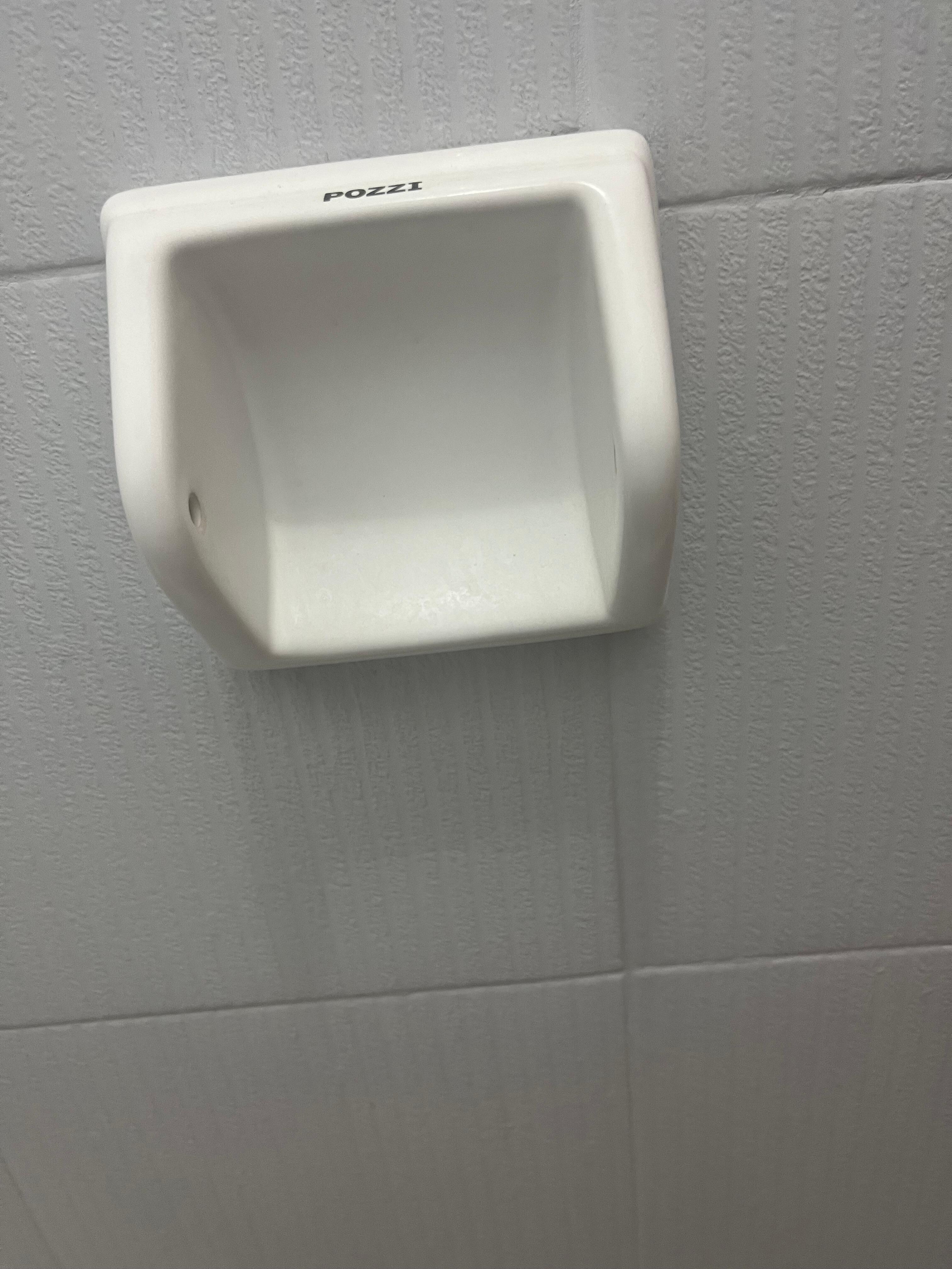 Lacking a bathroom tissue holder 