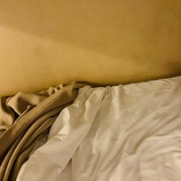 Walls by bunk
Discoloration is dirty