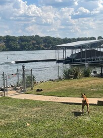 Dogs enjoyed the fully fenced in backyard.