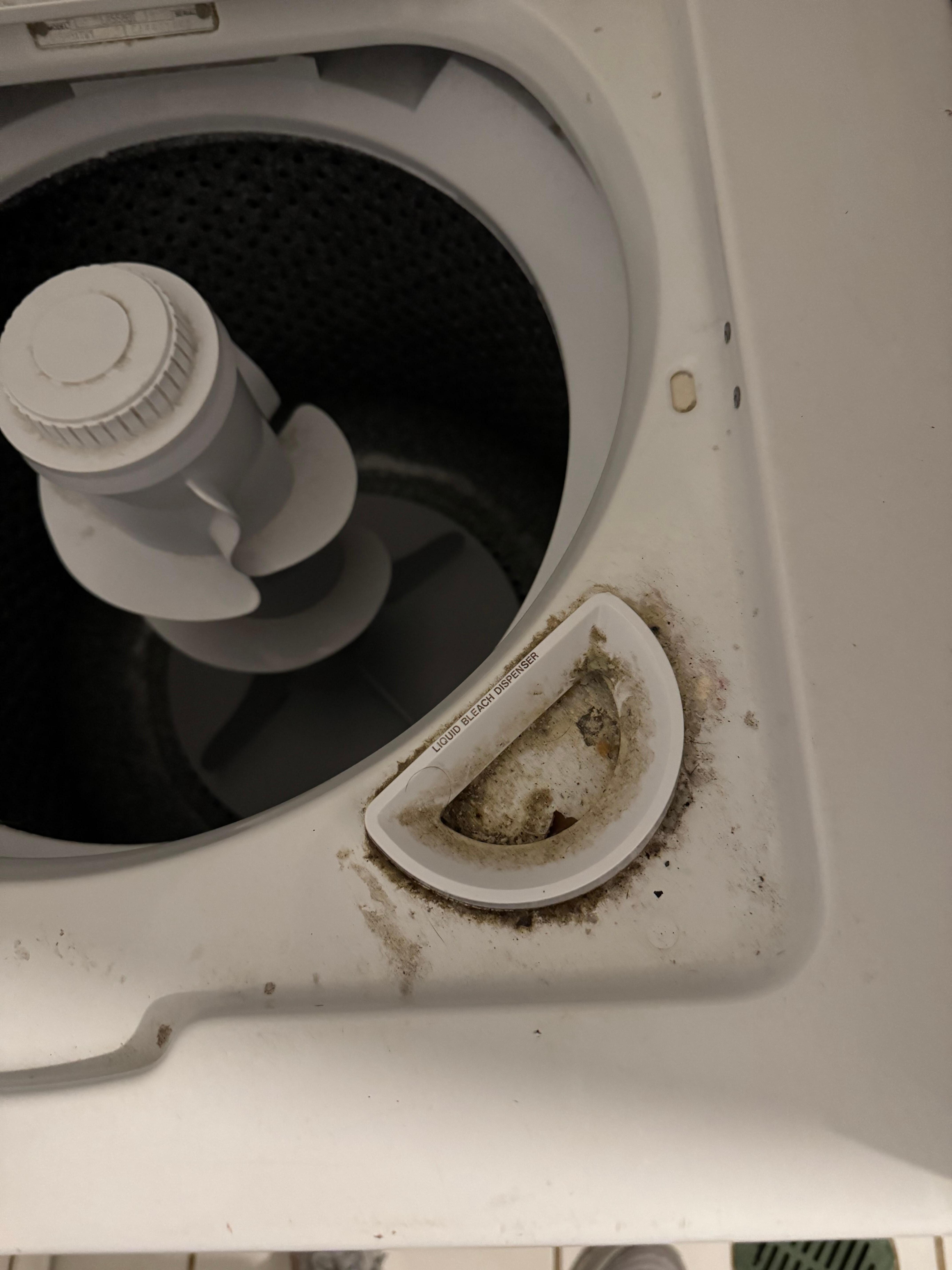 Washing machine dirty.