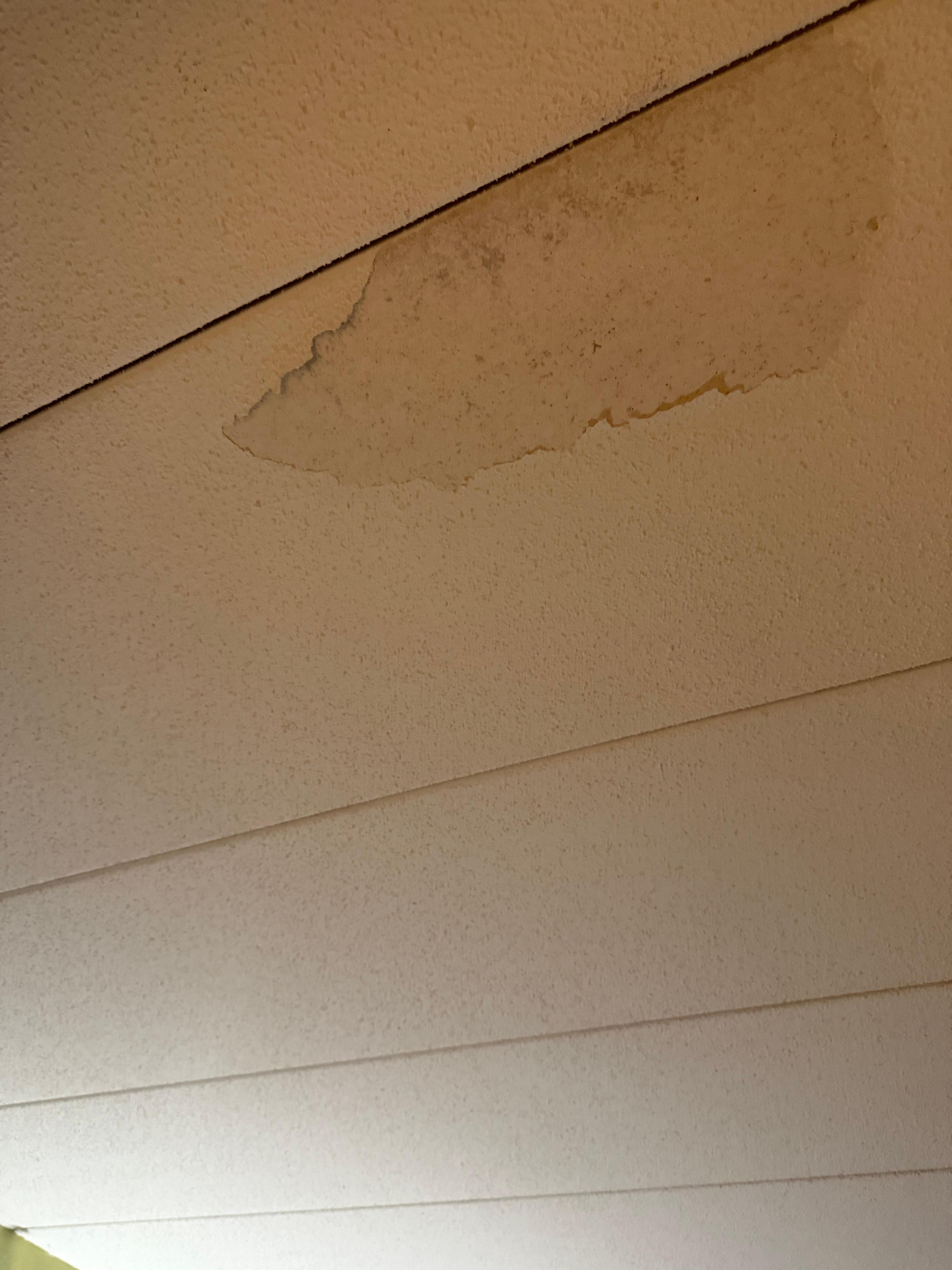 main room ceiling