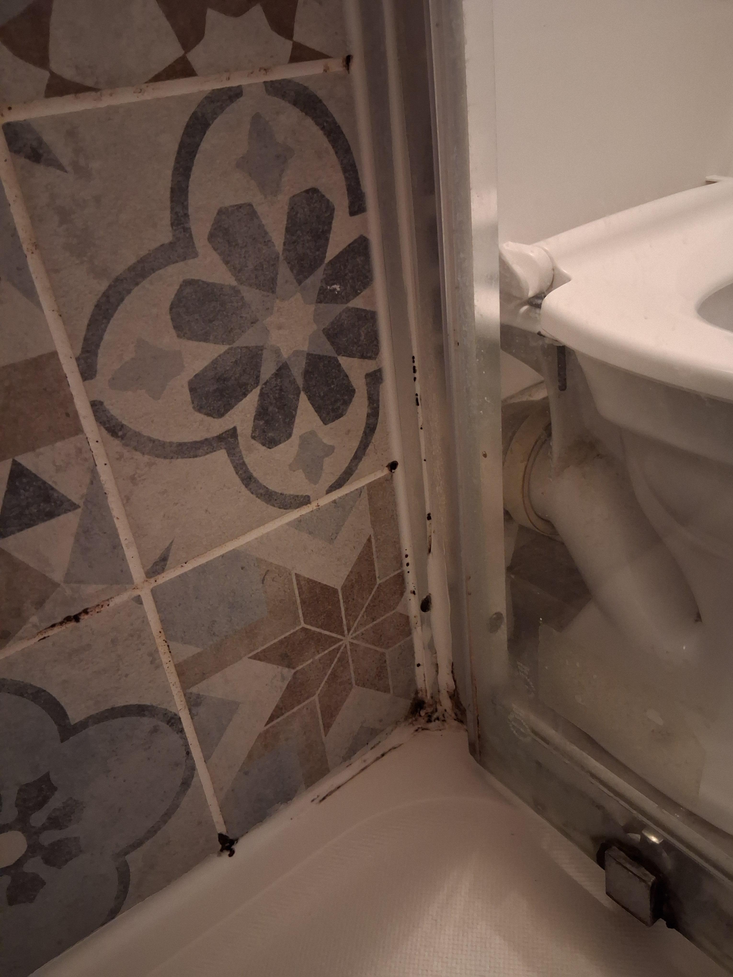Mold in bathroom 