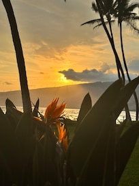 From the condo lanai night 2