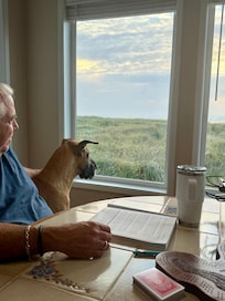 Neytiri gives this 10 plus bone positive review she loves seeing the ocean