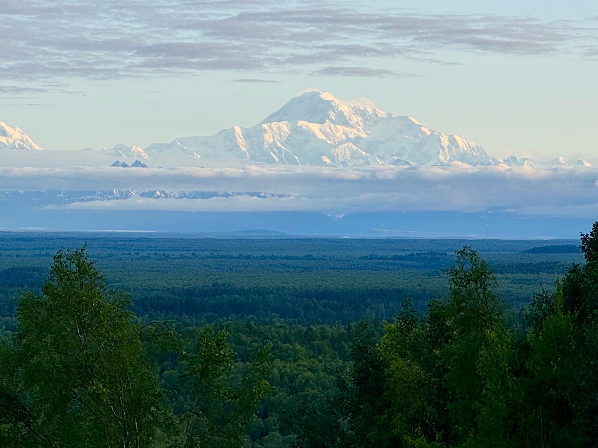 Pic of Denali from the back deck of the cabin. Denali View indeed!!