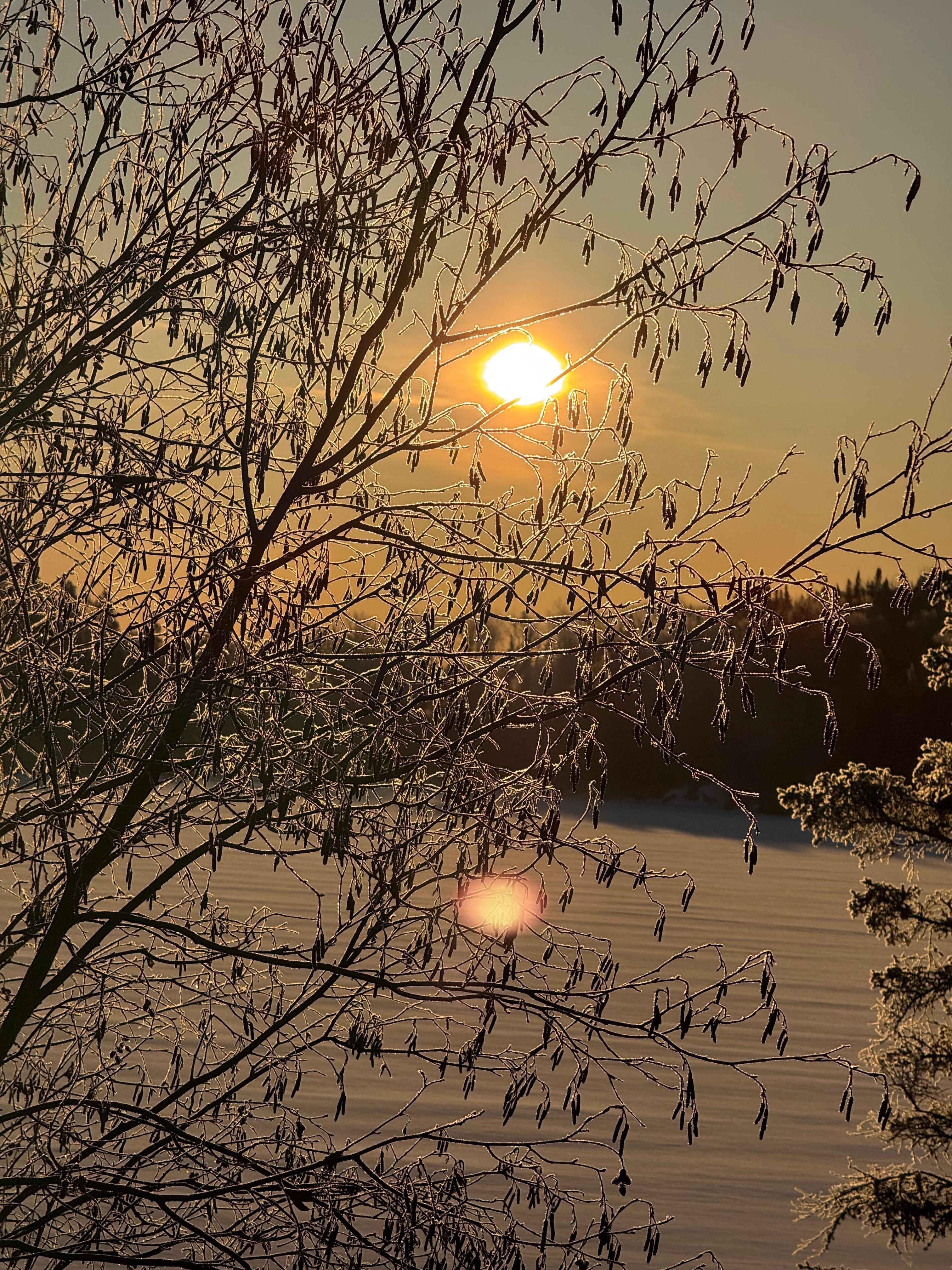 Good morning 